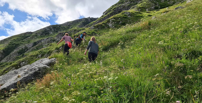 Freiwillige stellen einen Elektrozaun im steilen Gelände auf © Pro Natura Graubünden