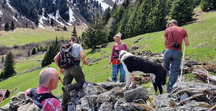 Nach der Arbeit die sorgfältige Kontrolle – der Elektrozaun muss auch im schwierigen, steinigen Gelände stabil stehen. © Pro Natura Graubünden