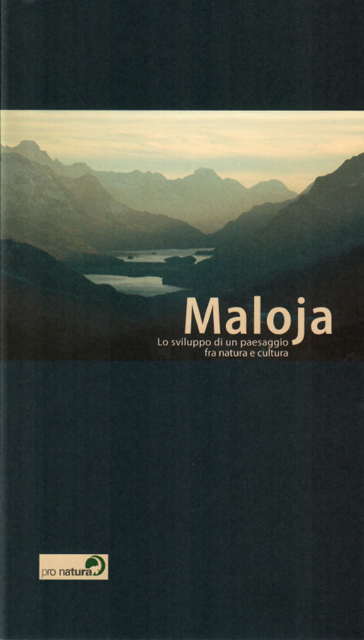 Guida alla mostra «Maloja – Lo sviluppo paesaggistico tra natura e cultura»