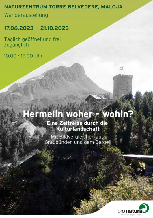 Flyer Ausstellung "Hermelin woher - wohin?"